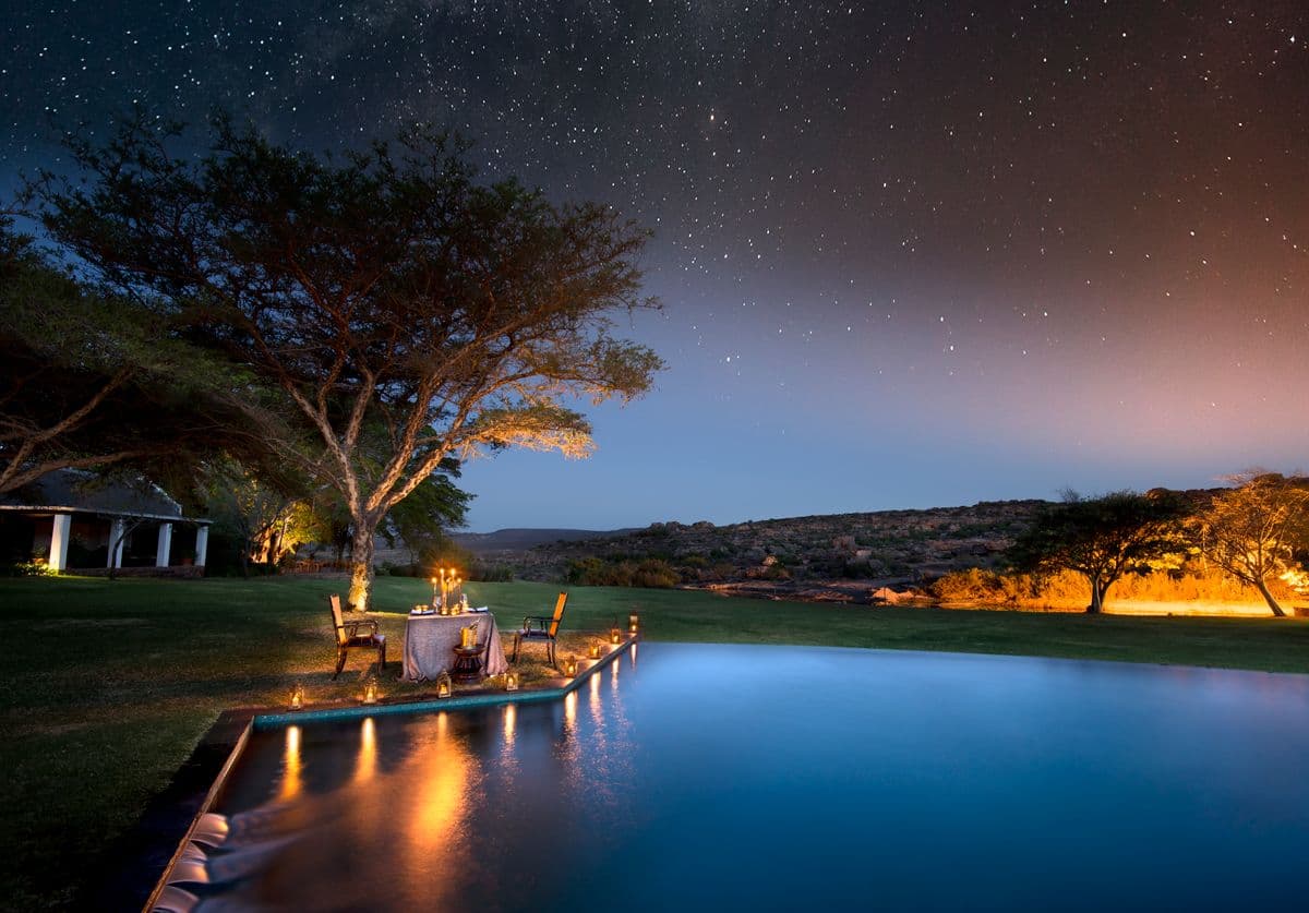 Red Carnation - Bushmans Kloof Wilderness Reserve and Wellness Retreat, South Africa