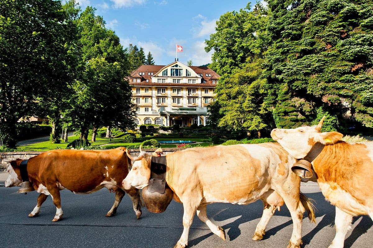 Small Luxury Hotels of the World - Le Grand Bellevue