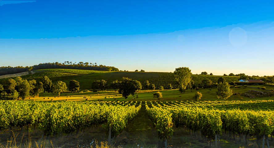 France for Food and Wine Lovers - Hero 6
