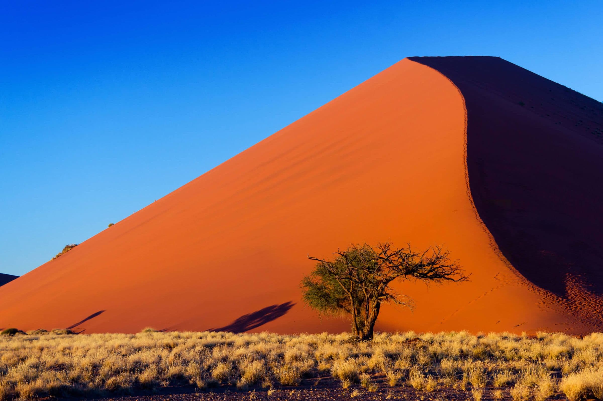 South Africa and Namibia Safari - Hero