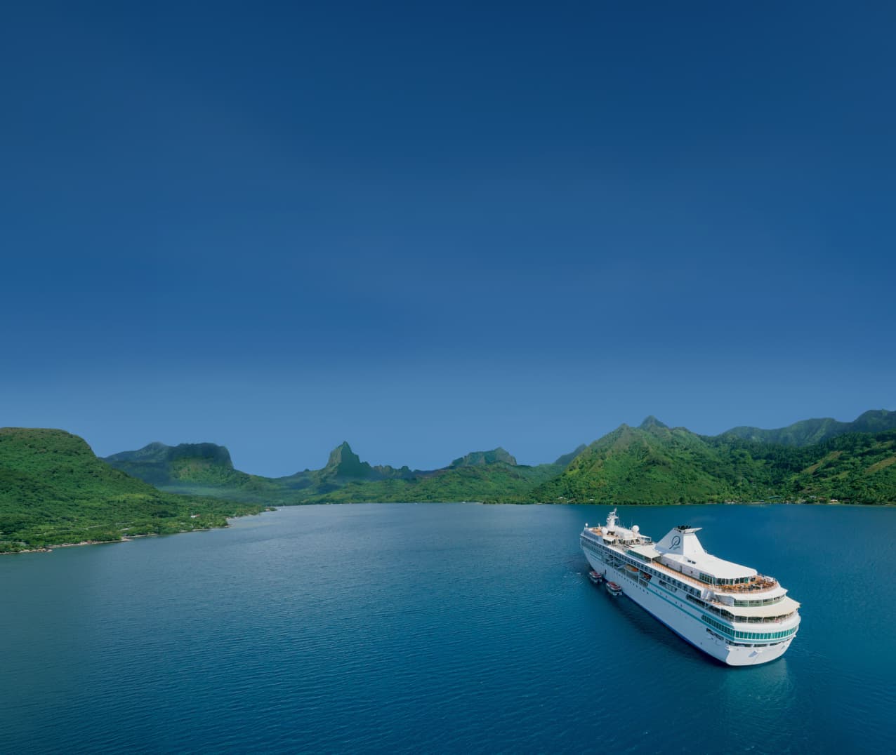 Collections-hub Cruise
