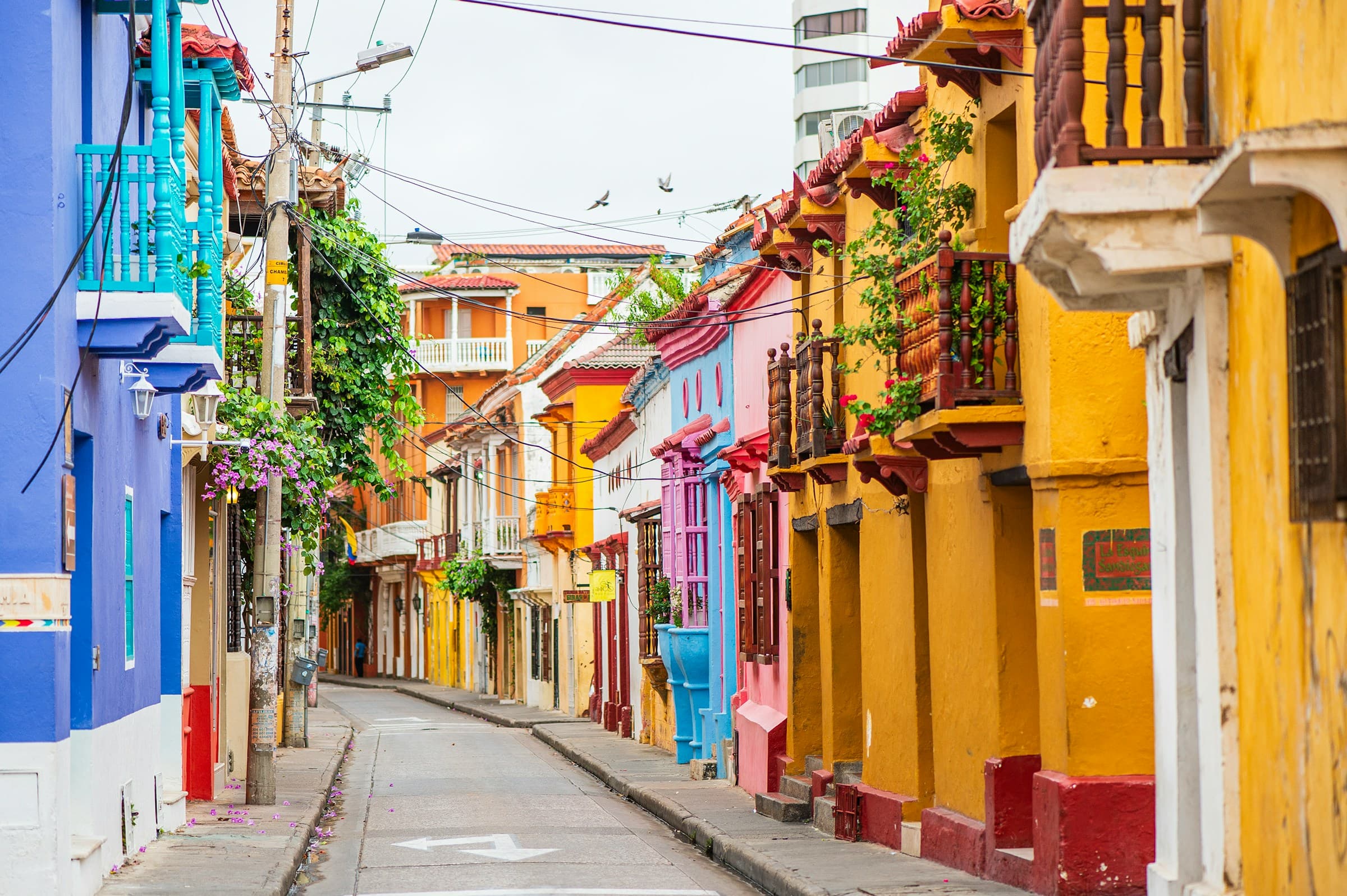 Cafe and Coast: Discovering Colombia’s Heart and Soul - Hero 3