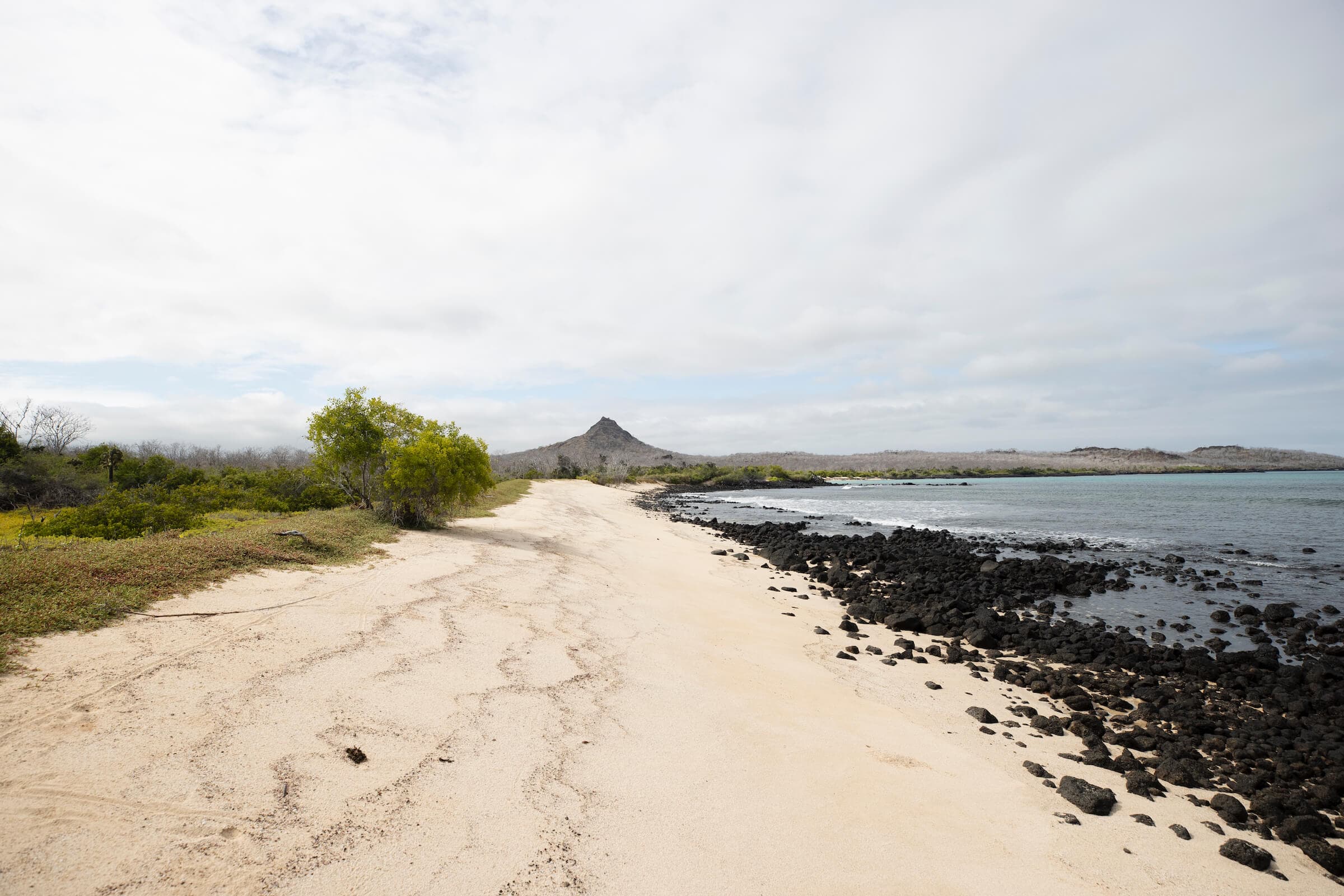 Ecuador's Treasures: Exploring the Galápagos Islands - Hero 3