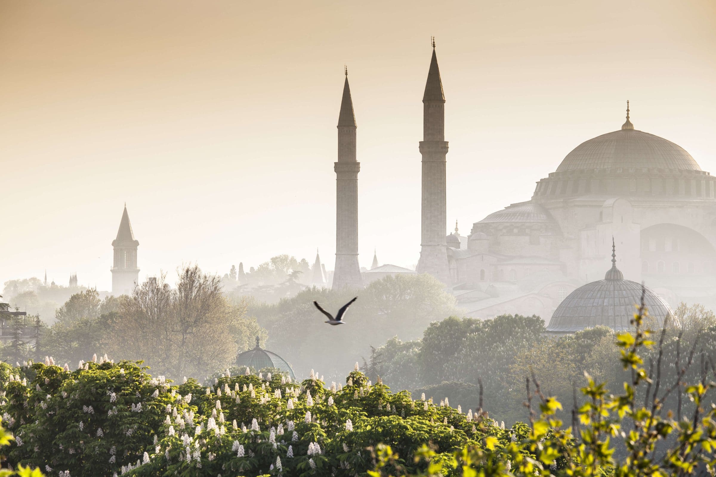 Enchanting Turkey: A Cultural Odyssey - Hero 4