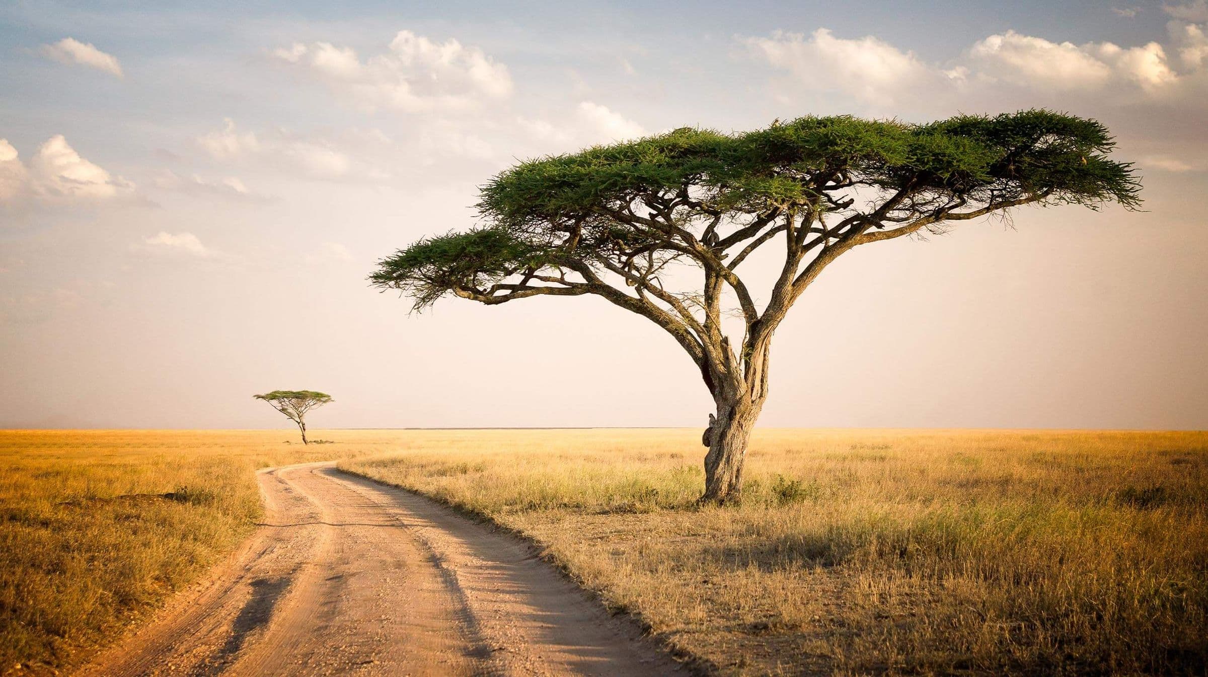 Tanzania Safari Adventure - Hero