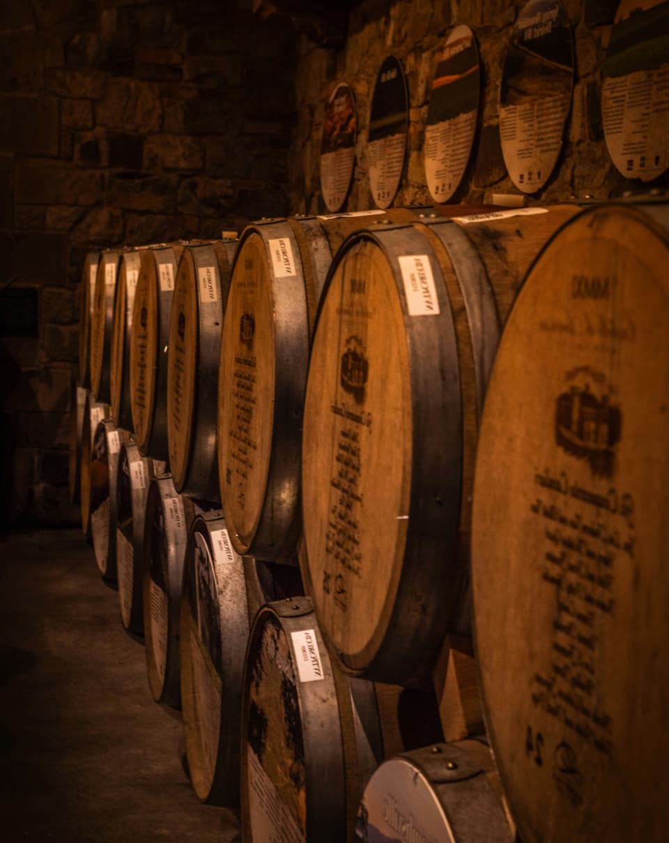 CI Vineyards Intro