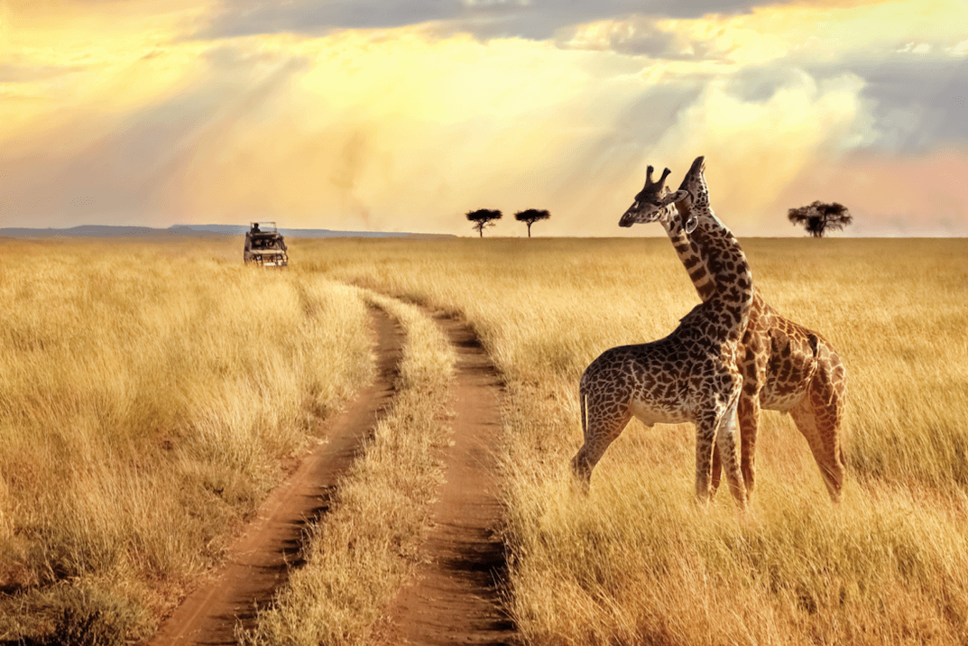 safari kenya luxury