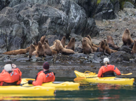 Kayaking with Steller Sea Lions - Inian Islands, Alaska