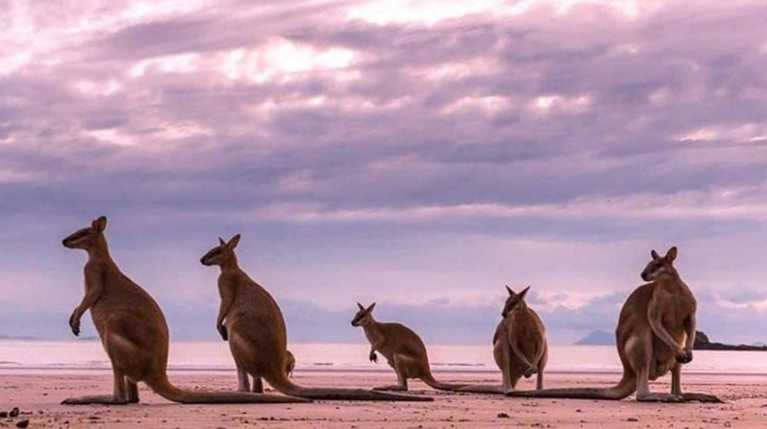 Cairns Luxury & Bespoke Travel Tully Luxury Travel