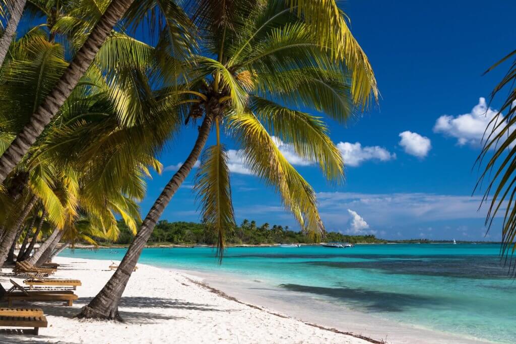 Dominican Republic beach and palm trees