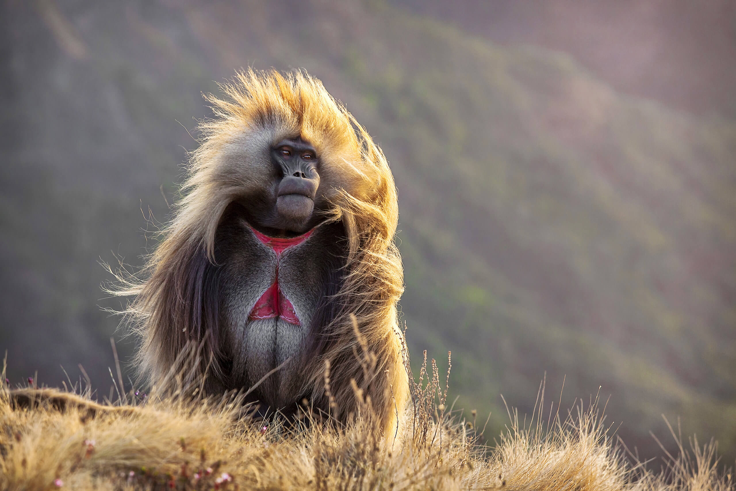 travel tour in ethiopia